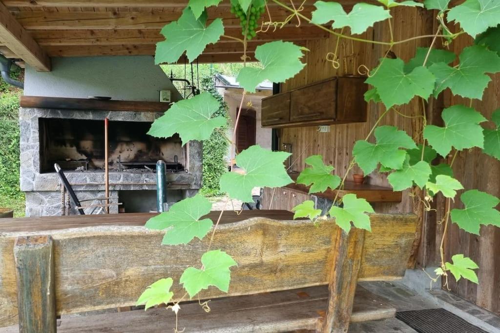 Appartement Country Retreat, Near Ljubljana City, Apartma Na Vasi, Blizu Mesta Ljubljana à Medvode Extérieur photo